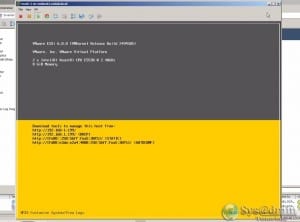 VMware ESXi 6