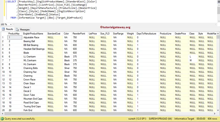 Informatica Workflow using Wizard 13