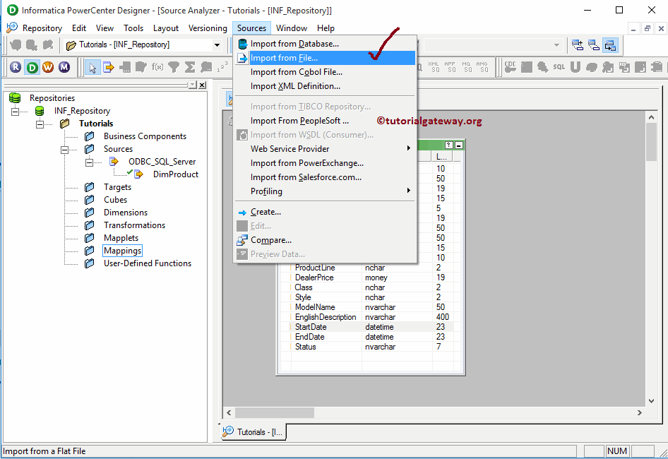 Flat File Source in Informatica 2